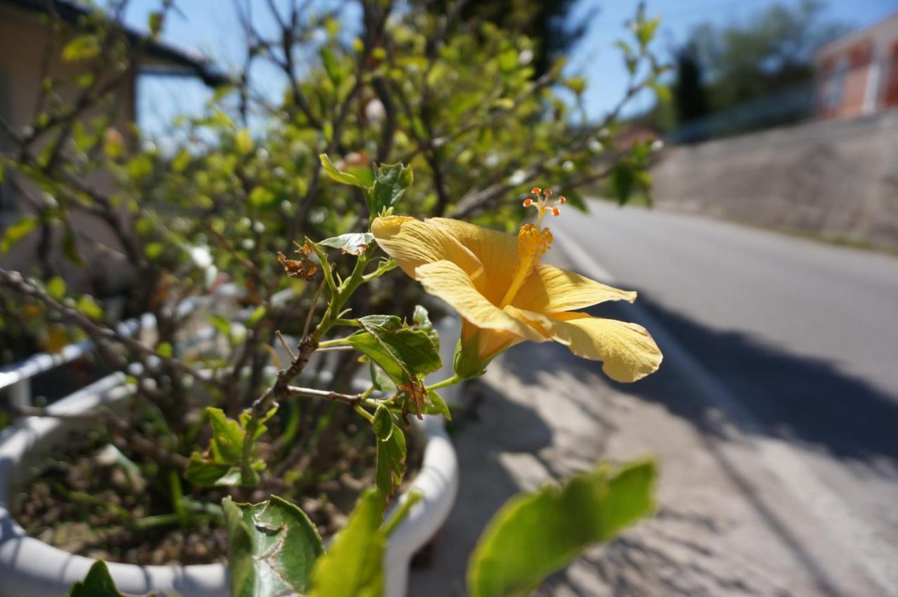 Kefalonia Sea View Cottage Ano Valtai Bagian luar foto